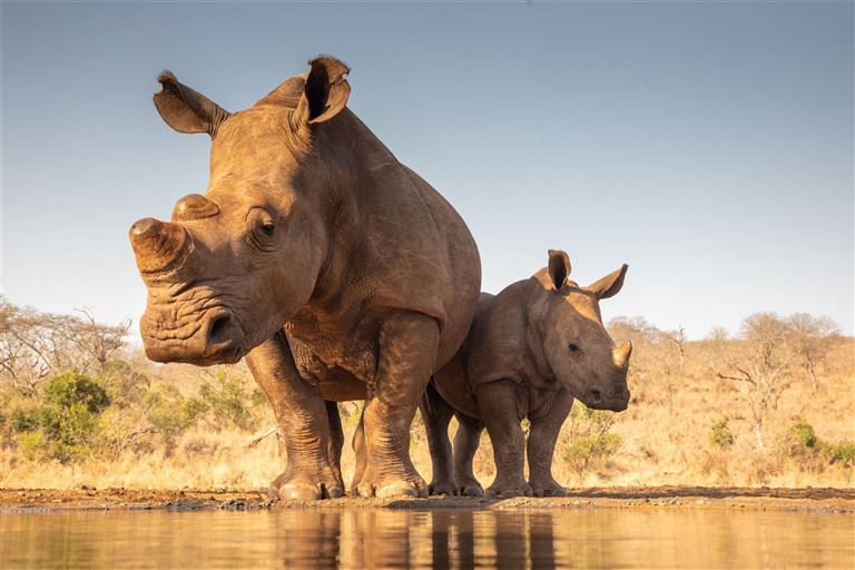 Südafrika à la carte ©peterralph/adobestock
